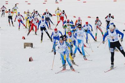 Лесосибирские спортсмены успешно выступили на соревнованиях по спортивному ориентированию