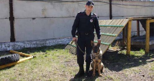Полицейский-кинолог из Лесосибирска получил сертификат профессиональной подготовки